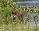 20180805-shw-0815