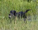 20180805-shw-0987