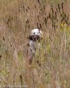 20181006-wcl-0015