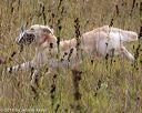 20181006-wcl-0060