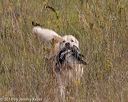 20181006-wcl-0102