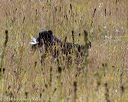 20181006-wcl-0117