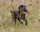 20181006-wcl-0138
