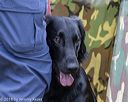20181006-wcl-0148