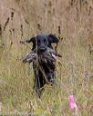 20181006-wcl-0166