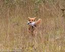 20181006-wcl-0204