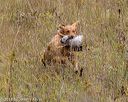 20181006-wcl-0220