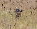 20181006-wcl-0232