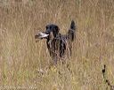 20181006-wcl-0248