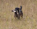 20181006-wcl-0249