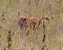 20181006-wcl-0295
