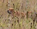 20181006-wcl-0299