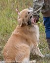 20181006-wcl-0322