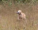 20181006-wcl-0324