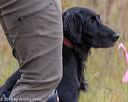 20181006-wcl-0359