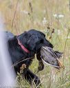 20181006-wcl-0379