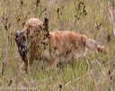 20181006-wcl-0460