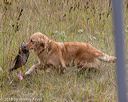 20181006-wcl-0464