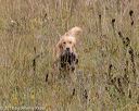 20181006-wcl-0471