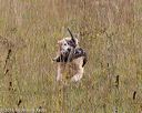 20181006-wcl-0504