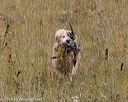 20181006-wcl-0507