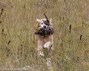 20181006-wcl-0509