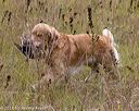 20181006-wcl-0535