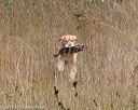 20181006-wcl-0541