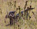 20181006-wcl-0574