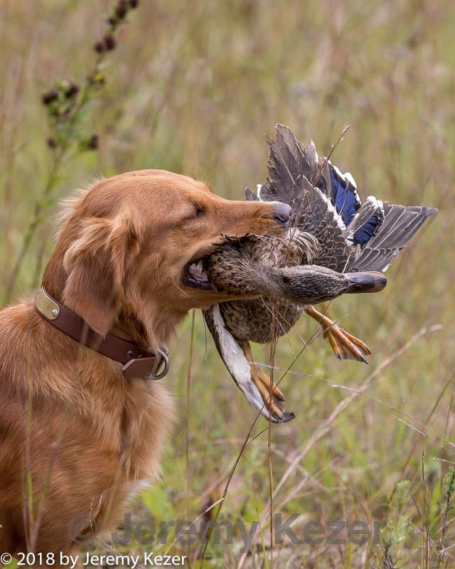 20181006-wcl-0303.jpg