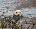 20181006-wcw-0048