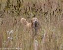 20181006-wcxl-0115