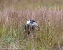 20181006-wcxl-0140