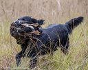 20181006-wcxl-0212