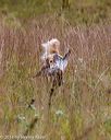 20181006-wcxl-0269