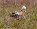20181006-wcxl-0271