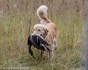 20181006-wcxl-0290