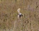 20181006-wcxl-0318