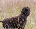 20181006-wcxl-0398