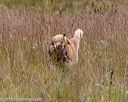 20181006-wcxl-0546