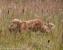 20181006-wcxl-0724