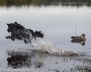 20181006-wcxw-0074