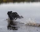 20181006-wcxw-0075