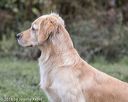20181006-wcxw-0349
