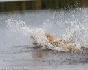 20181006-wcxw-0359