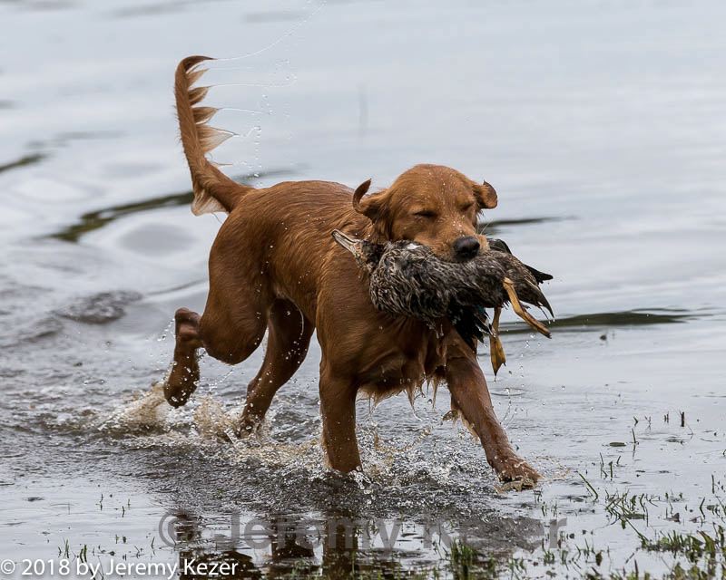 20181006-wcxw-0310.jpg