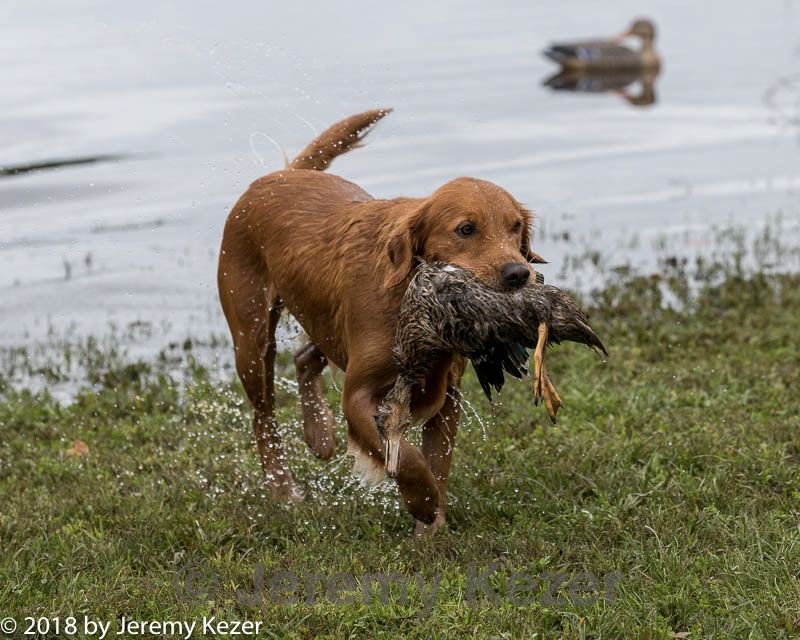 20181006-wcxw-0318.jpg