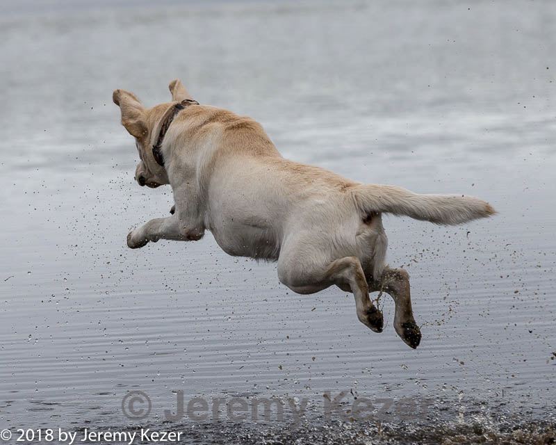 20181006-wcxw-0685.jpg