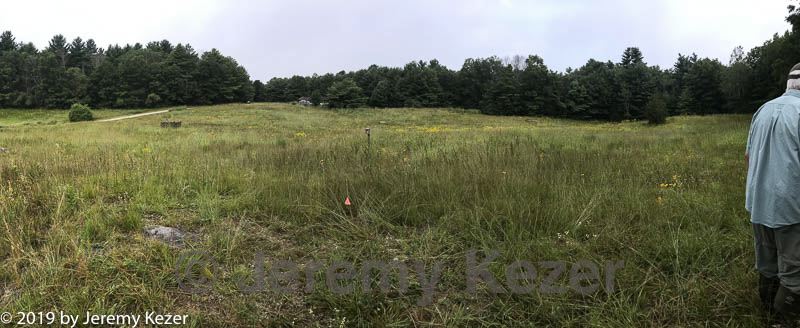 20190803-c-0001.jpg