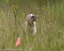 20190803-jhl-0005